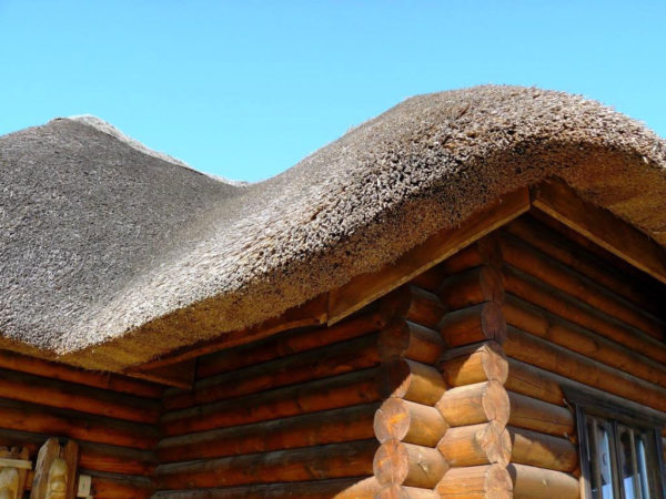Крыша из соломы